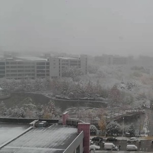 柔雪