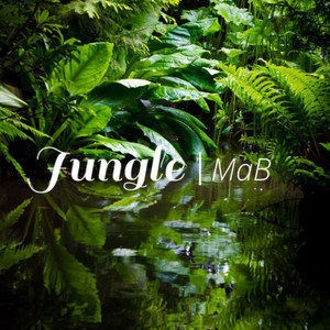 Jungle