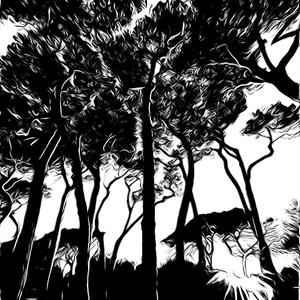 Tree Of Life