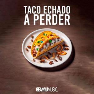 TACO ECHADO A PERDER