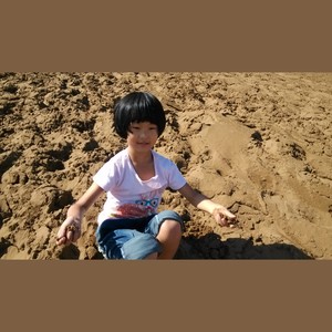 小燕子