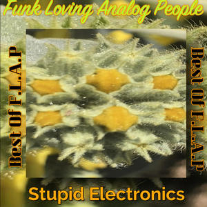 The Very Best Of Funk Loving Analog People (Explicit)