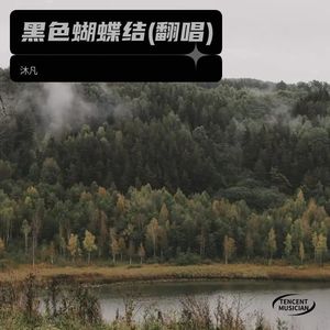 黑色蝴蝶结 (Live)封面