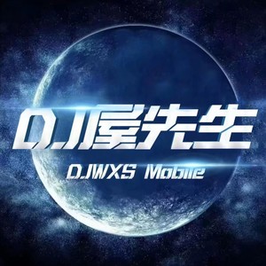 是你 (柳州DJ屋先生 remix)