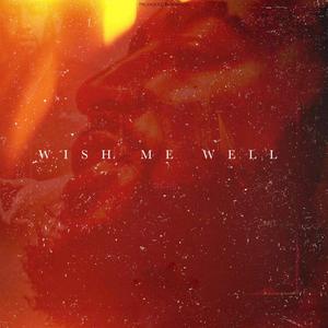 WISH ME WELL (Radio Edit)