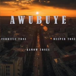 Awubuye (feat. Kamow Tones) [with Deeper Tone]