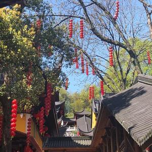 7.棕旨封面