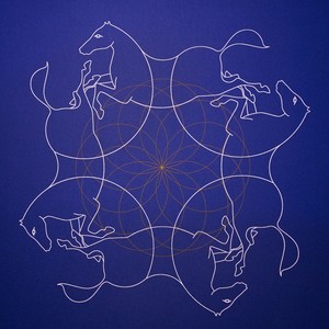 Visions Cadaquesenques