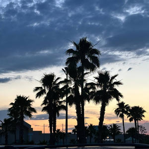 Am I Noid (feat. IceColdGoon & 2kane) (Explicit)