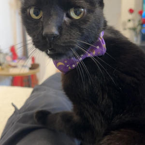 La fille au cheveux de feu (Explicit)