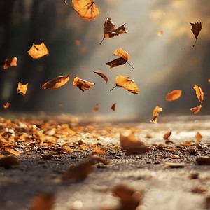 风吹起落叶 (DJ版)