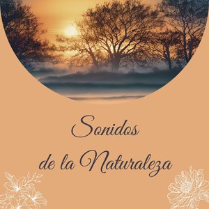 Melodía de gotas de rocío