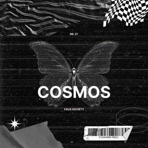 Cosmos