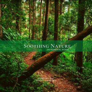 Soothing Nature - Instrumental World. Vol. 7