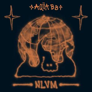 NLVM (Explicit)