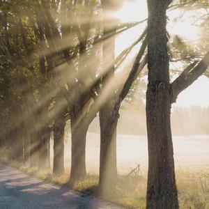 ALL LOVE CAN BE (feat. Philip Serino)