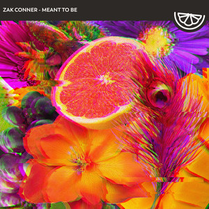 Meant To Be (Original Mix)