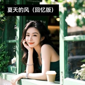 夏天的风 (回忆版)封面