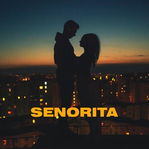 Senorita (feat. SAAB D.S.P & Wake V) [Explicit]