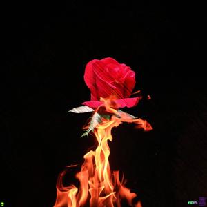 Oh Dayum(feat. Dyana & Odlid) (Explicit)