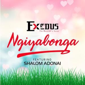 Ngiyabonga (feat. Shalom Adonai )