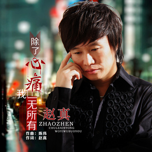 赵真 - 除了心痛我一无所有