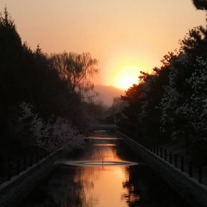 小楼昨夜又东风