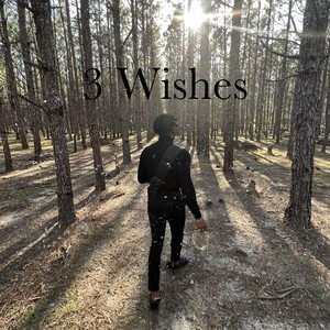 3 Wishes