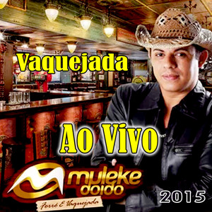 Vaquejada Ao Vivo - 2015