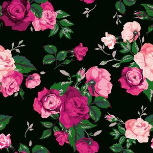 La Vie En Rose (Explicit)