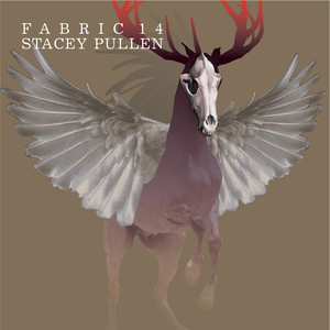 fabric 14: Stacey Pullen