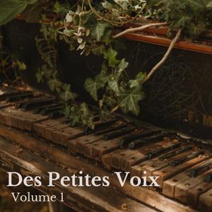 Des Petites Voix, Vol. 1