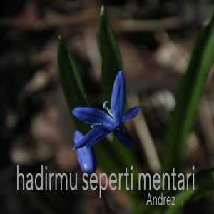 Hadirmu seperti mentari