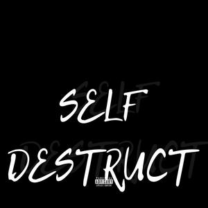 Self Destruct