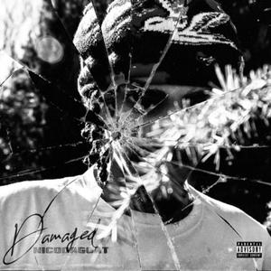 Damaged (Explicit)