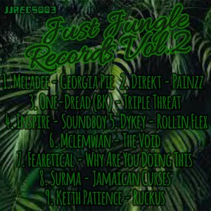 Just Jungle Records Vol2 (Explicit)