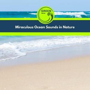 Dark Nightforest Got Bugs