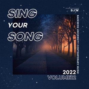 Sing Your Song Vol.12