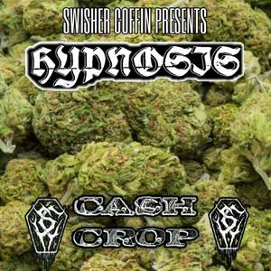 Cash Crop (Explicit)