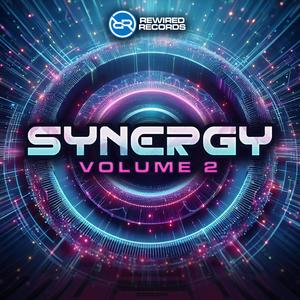 Synergy Volume 2
