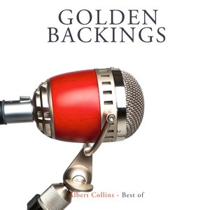 A Good Fool Is Hard to Find (Originally Performed by Albert Collins ) (伴奏)