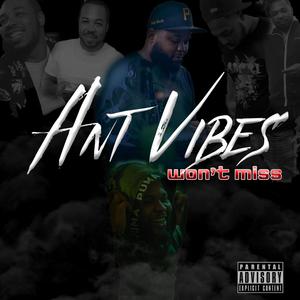 Ant Vibes Wont Miss (Explicit)