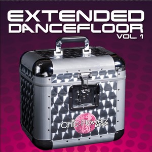 Extended Dancefloor, Vol. 1