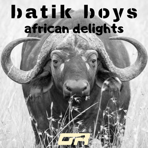 African Delights (Radio Edit)