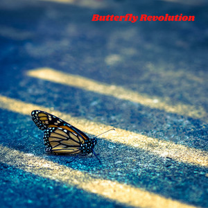 The Butterfly Revolution Continues