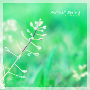 기다려온 봄 (Awaited Spring)