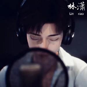 想忘却忘不了，想爱却爱不到 (DJ长音频)封面