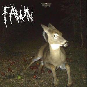 Fawn (Explicit)