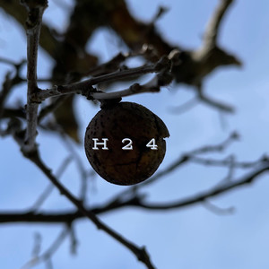 H24 (Explicit)