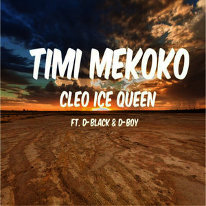 Timi Mekoko